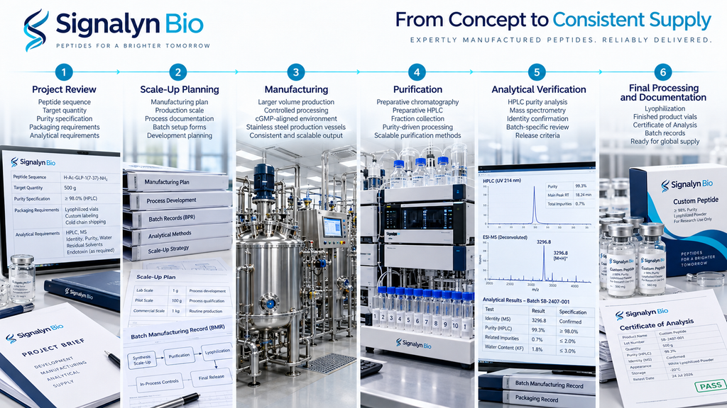 Bulk peptide production workflow from project review and scale-up through purification, testing and final processing