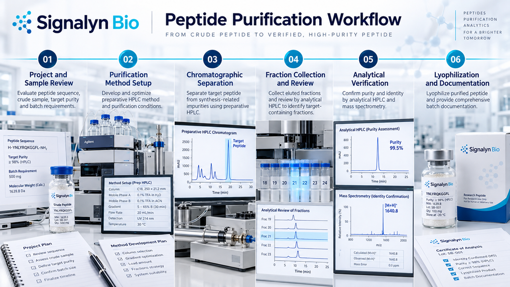 Peptide purification workflow from crude sample review through HPLC separation, fraction collection and analytical verification