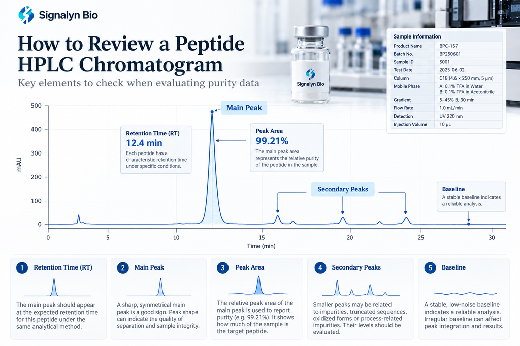 Peptide HPLC chromatogram showing main peak and secondary peaks for purity review
